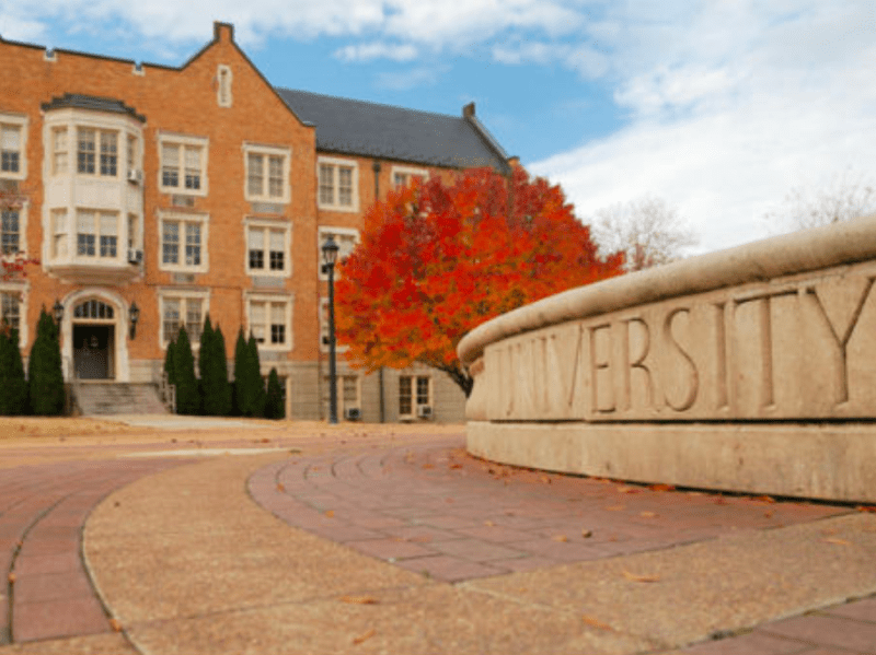 Northsouthern University Implements “Everything-Optional” Admissions, Application Numbers Rise&nbsp;Tenfold